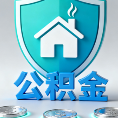 防城港公积金代办行业观察：谁在提供专业服务？